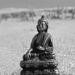 Strand-Buddha